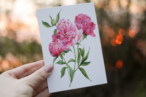 Peony Flower Birthday Card, Card for Friend, Greeting Card